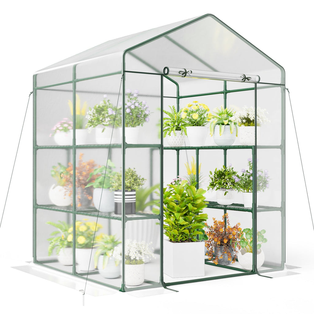 55 x 57 x 77-Inch Walk-In Greenhouse with Transparent Cover, Roll-Up Door and Eight Side Shelves — image 1