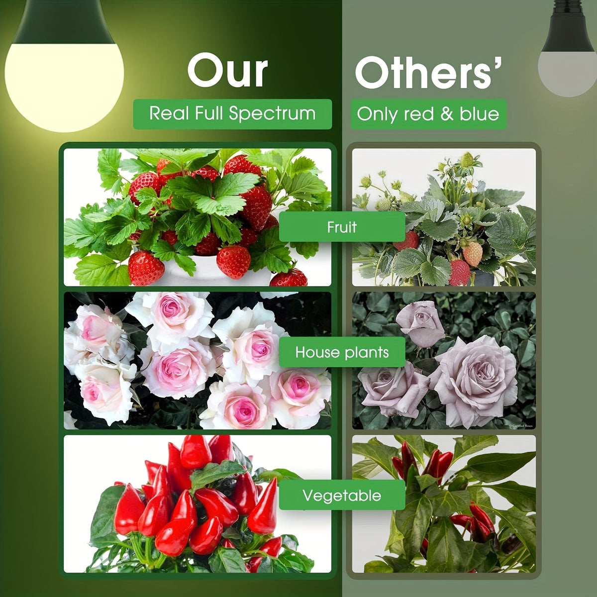 Grow Light Bulb A19 E26 Full Spectrum 9W 100W Equivalent | Natural White 4000K LED Plant Bulb for Indoor Plants Seed Starting