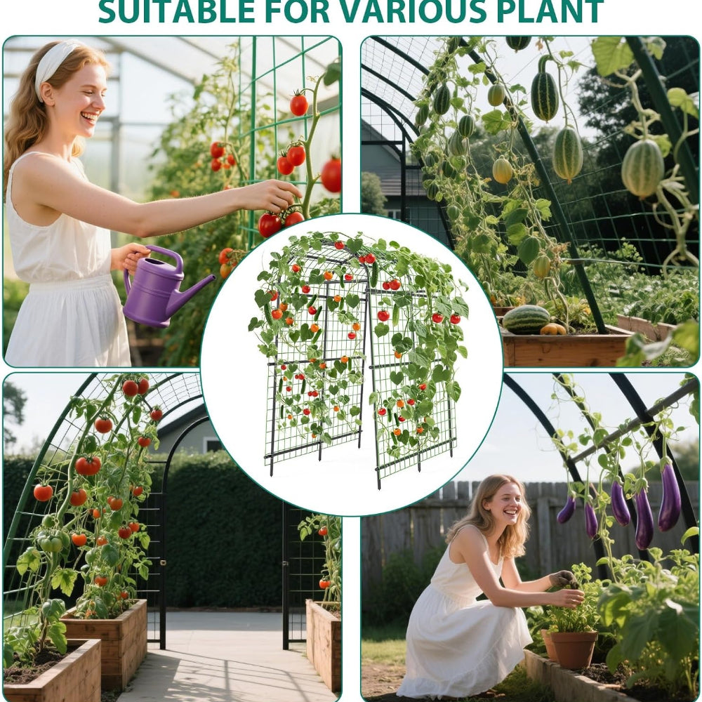 Garden Trellis with Seven-Foot Arch and PE-Coated Steel Frame, Climbing Plant Support for Vegetable Beds — image 1