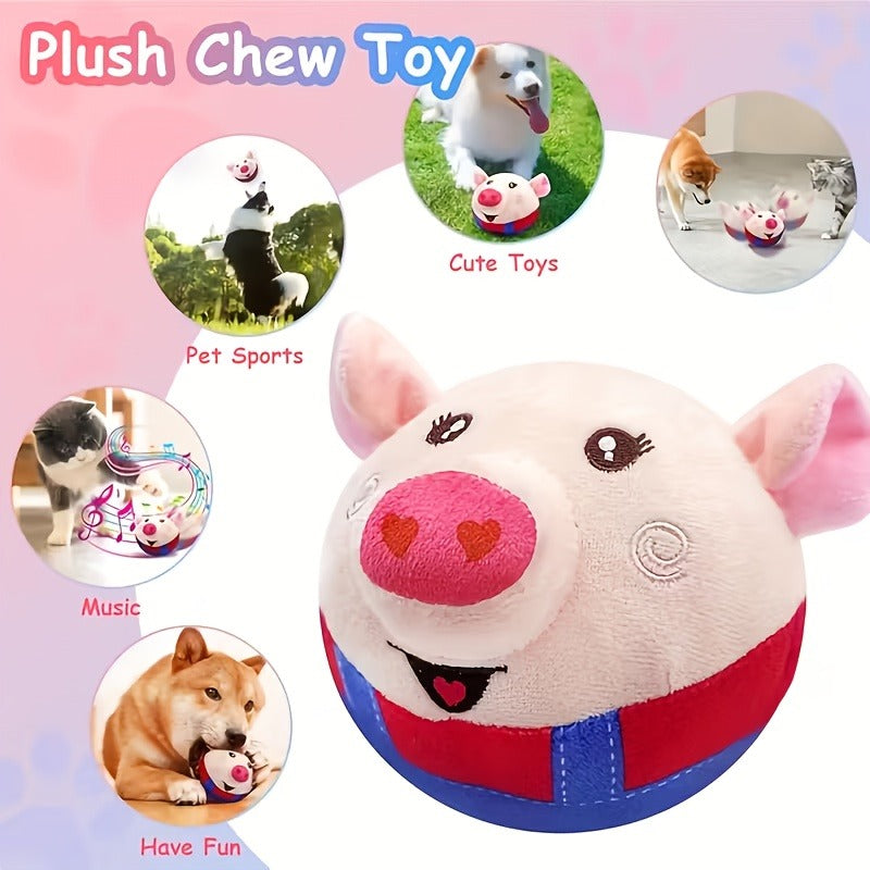 Dog Toy USB-Rechargeable Bouncing Character Ball with Recording and Music Modes in Five Styles — image 15