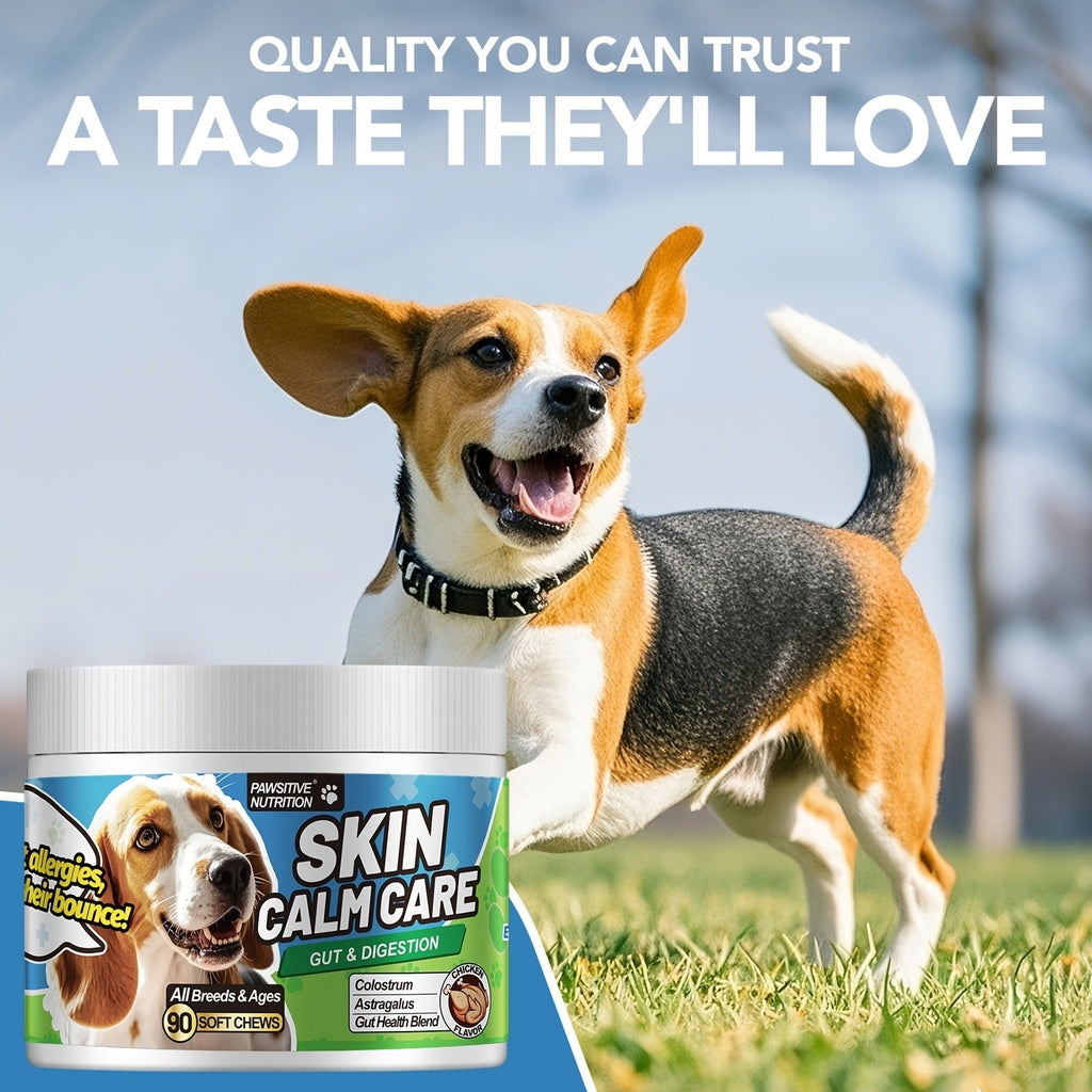 Dog Skin and Digestion Soft Chews with Colostrum, Fermentate and Astragalus, 90-Count Bottle — image 3