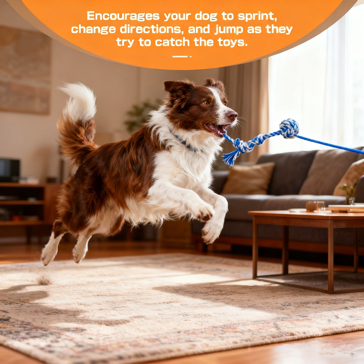 Dog Toy Telescopic Aluminum Flirt Pole with Reinforced Nylon Rope and Three Detachable Interactive Toys — image 10