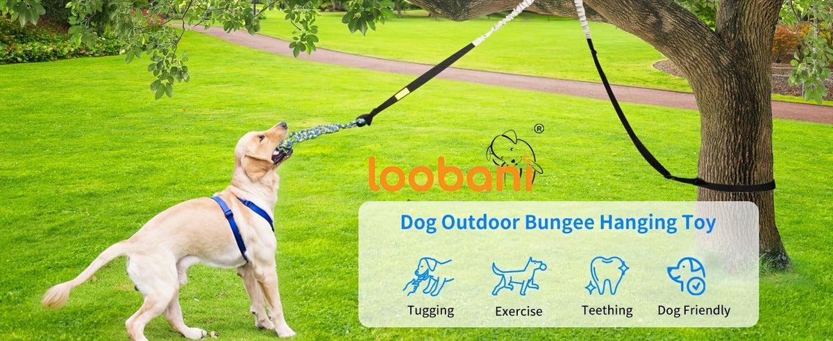 Dog Toy Outdoor Hanging Bungee Tug with Adjustable 19.7-Foot Elastic Cord, Soft Loop and Chew Rope — image 8