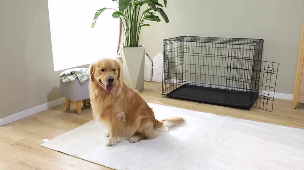 Folding Wire Dog Crate with Divider, Pull-Out Tray, Two Doors and Five Sizes from 24.41 to 48.4 Inches — image 12