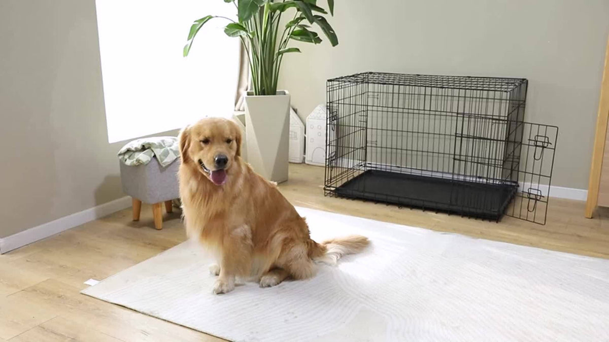 Folding Wire Dog Crate with Divider, Pull-Out Tray, Two Doors and Five Sizes from 24.41 to 48.4 Inches — image 12