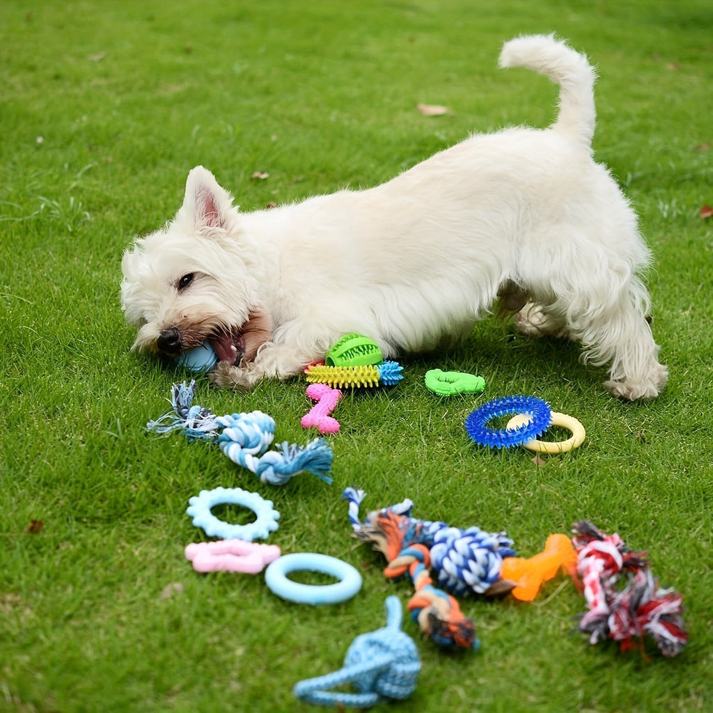 Dog Toy Pink Puppy Chew Bundle with Textured Toothbrush Shapes and Balls in Random 5 or 8 Pieces — image 10