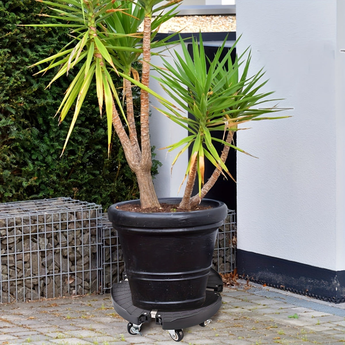 Plant Caddy with Wheels | 330 Lbs Heavy Duty, 8 Lockable Casters, Fits 8"-22" Pots — image 6
