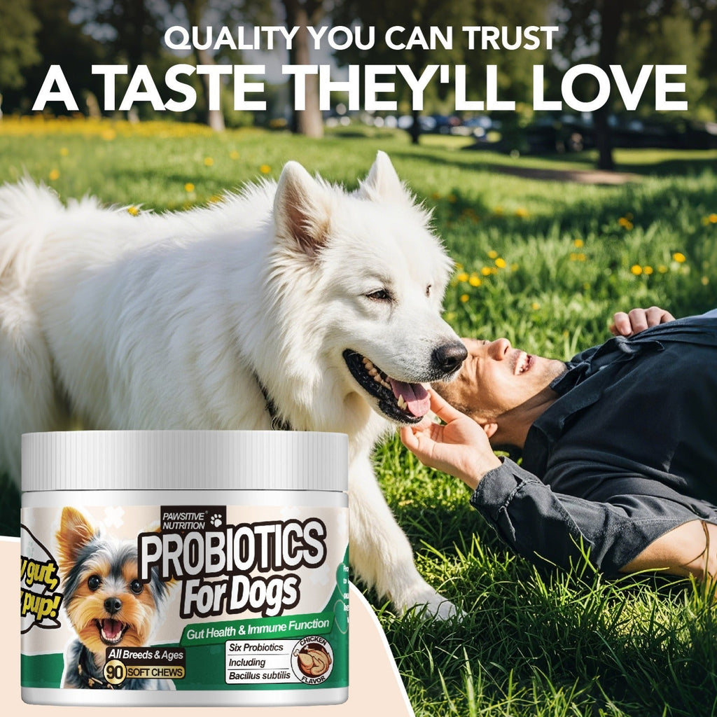 Dog Probiotic Soft Chews, Chicken Flavor, 90-Count Bottle with One- or Three-Bottle Checkout Options — image 8