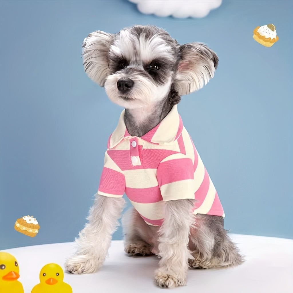 Five-Pack Striped Polo-Style Dog Shirts in Assorted Colors with Seven Size Choices from XS Through 4XL — image 9