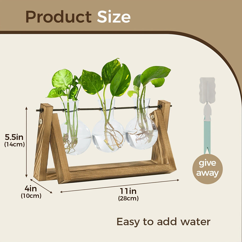 Glass Terrarium Heart Shaped Hydroponic Vase with Wooden Stand – Elegant Plant Propagation Station for Home Decor — image 6
