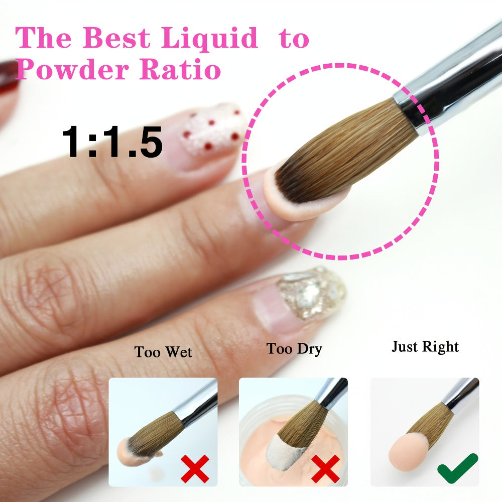 Kolinsky Acrylic Nail Brush Set 100% Pure Kolinsky Hair Flat Shape Sizes #10 #12 #14 – Professional Nail Art Sculpting Extens