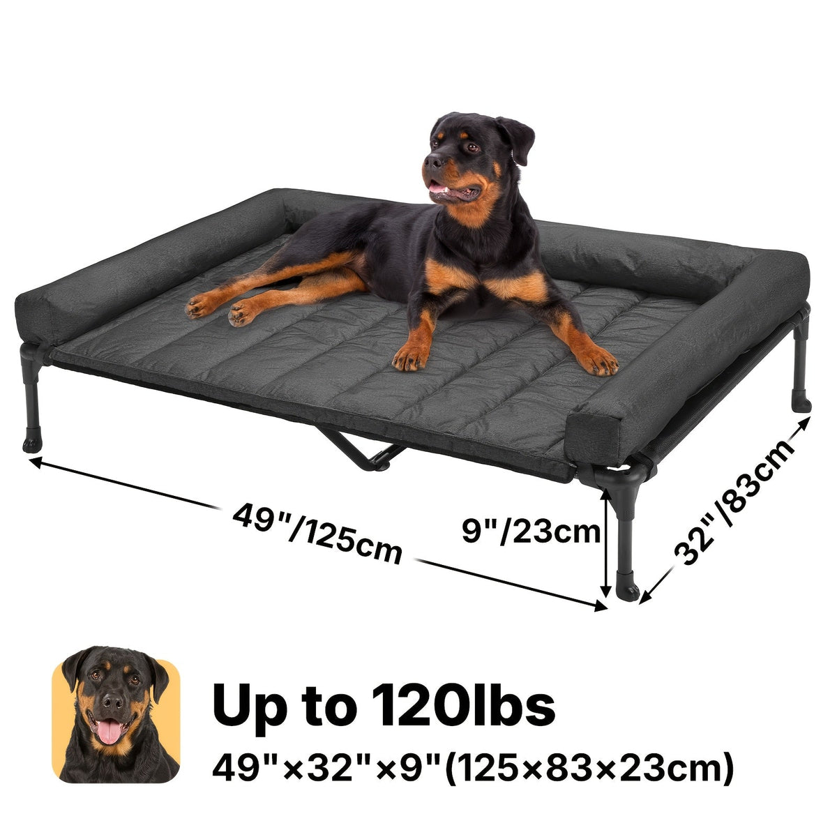 Elevated Dog Bed with Teslin Mesh Cot, Powder-Coated Steel Frame and Removable Bolster Top in Four Sizes — image 33