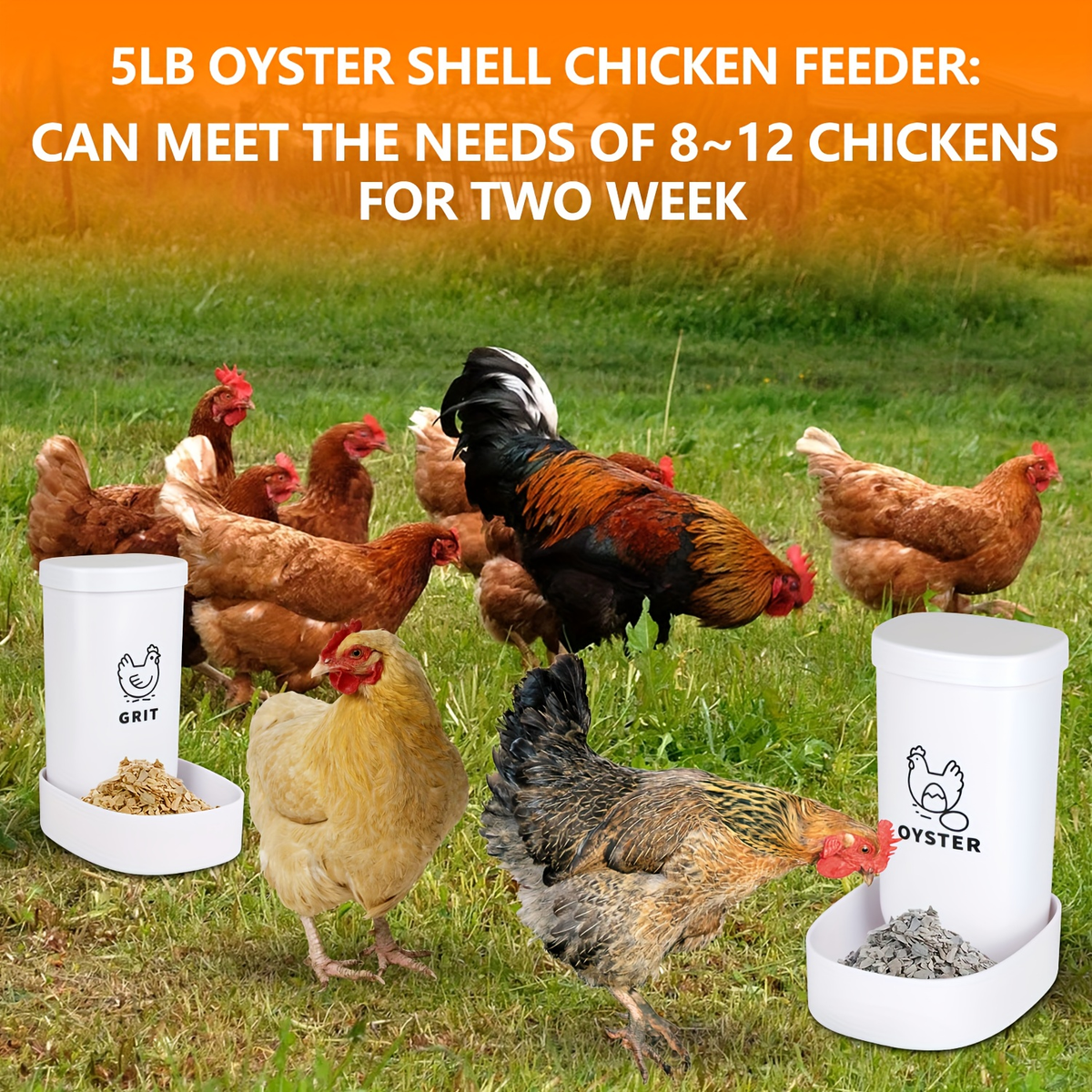 Oyster Shell Feeder & Grit Feeder Set Gravity Fed Waterproof 2-Pack — image 5