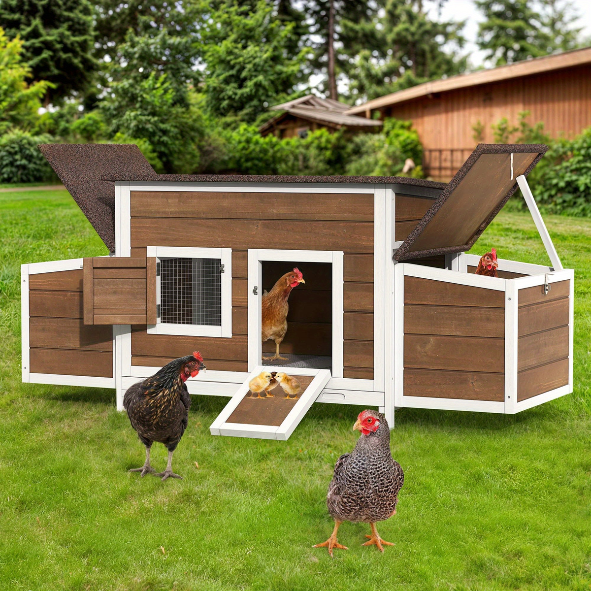 Wooden Hen House with 67in Frame, Two Nest Boxes, Ramp and Gray or Brown Two-Tone Outdoor Finish — image 15