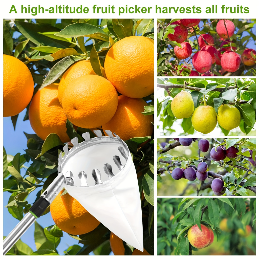 Stainless Steel Fruit Picker with Adjustable 63 to 157 Inch Extension Pole and Non-Slip Handle for Orchard Harvesting — image