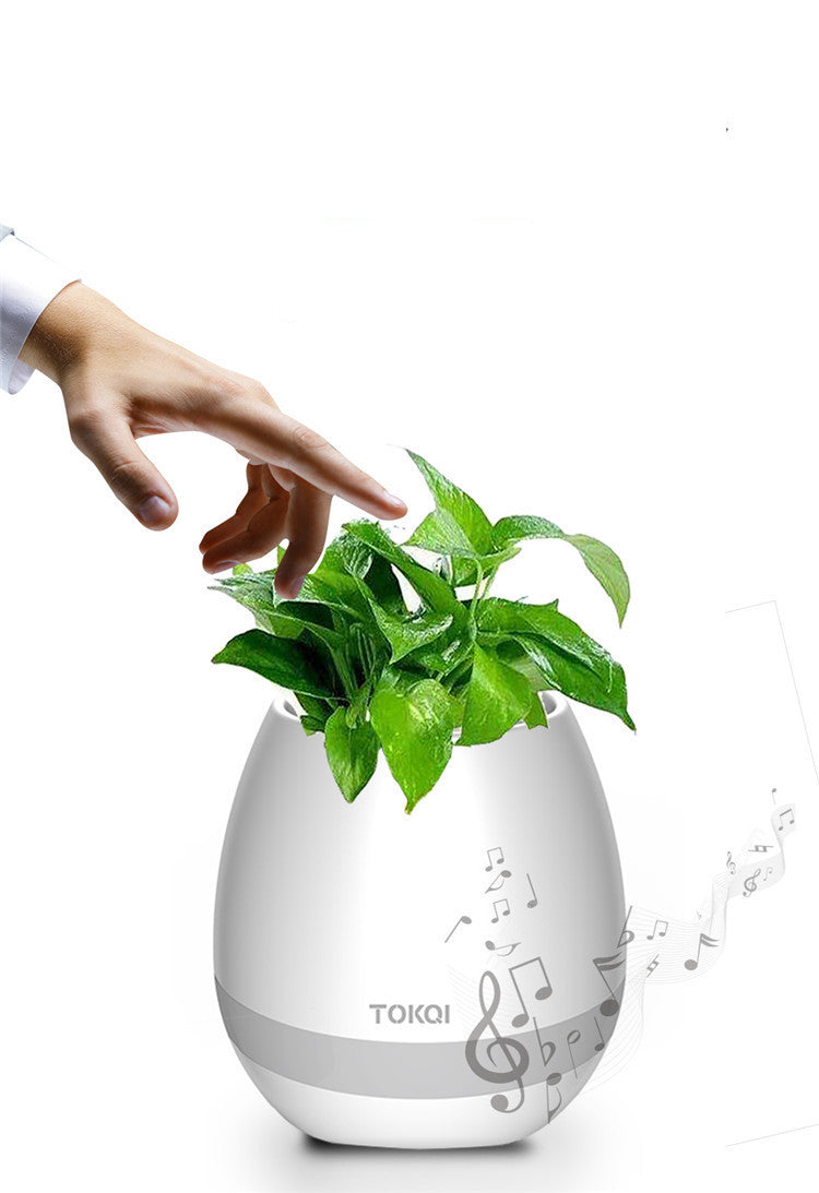 Touch-sensitive music vase desktop audio