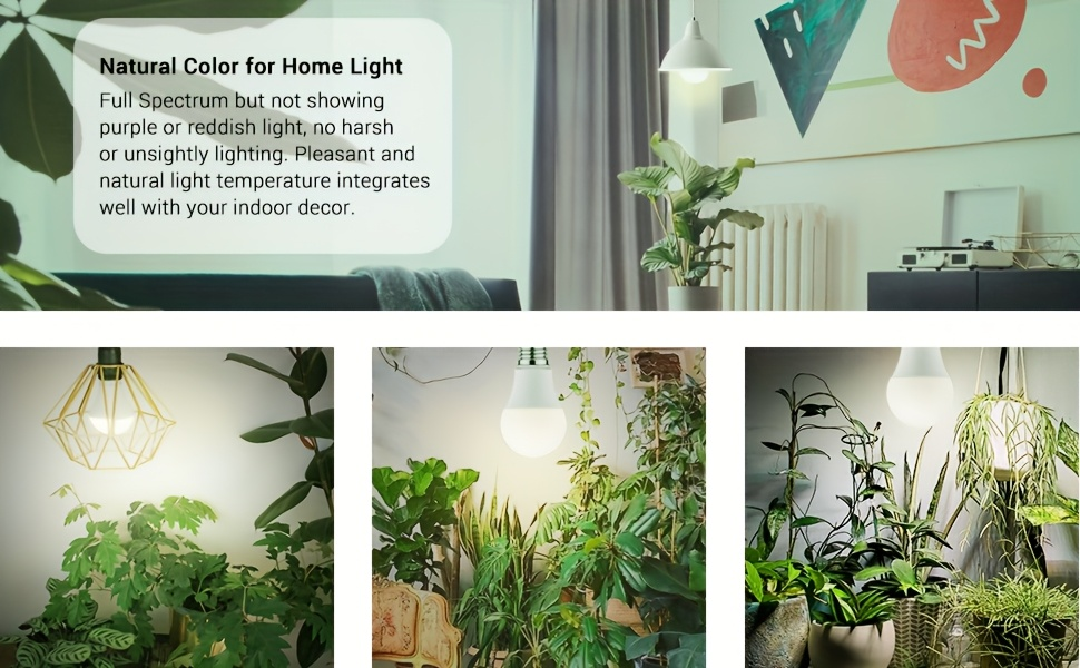 Grow Light Bulb A19 E26 Full Spectrum 9W 100W Equivalent | Natural White 4000K LED Plant Bulb for Indoor Plants Seed Starting