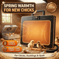 Brooder Heater, Chick Duck Quail 3 Heat Levels Timer Digital Display for Garden, Patio and Yard Use — image 1