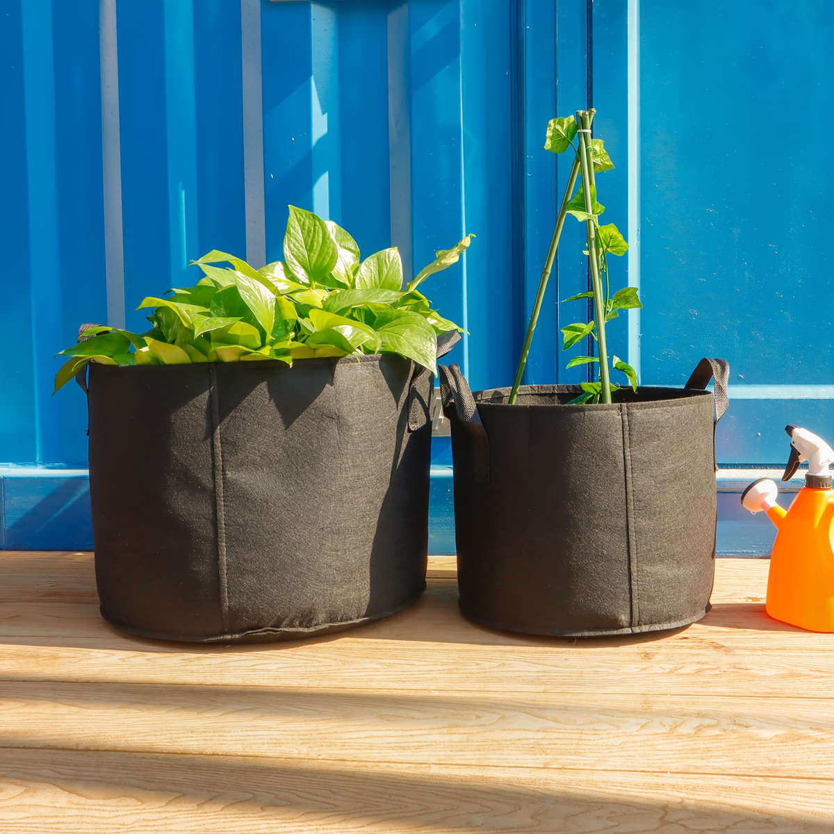Four-Pack Black Grow Bags with Handles in 5-Gallon or 10-Gallon-Labeled Size Options for Container Gardening — image 8