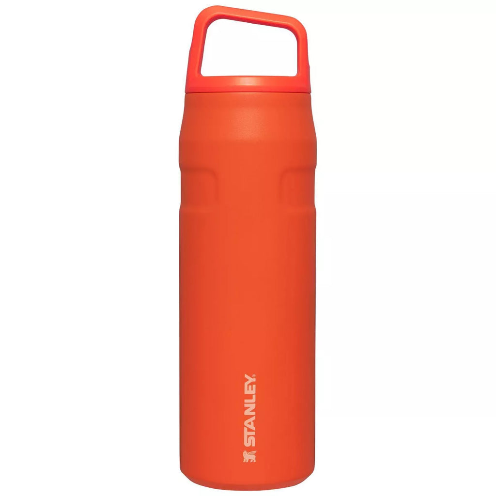 Stanley 24oz Stainless Steel IceFlow Aerolight Water Bottle Cap and Carry