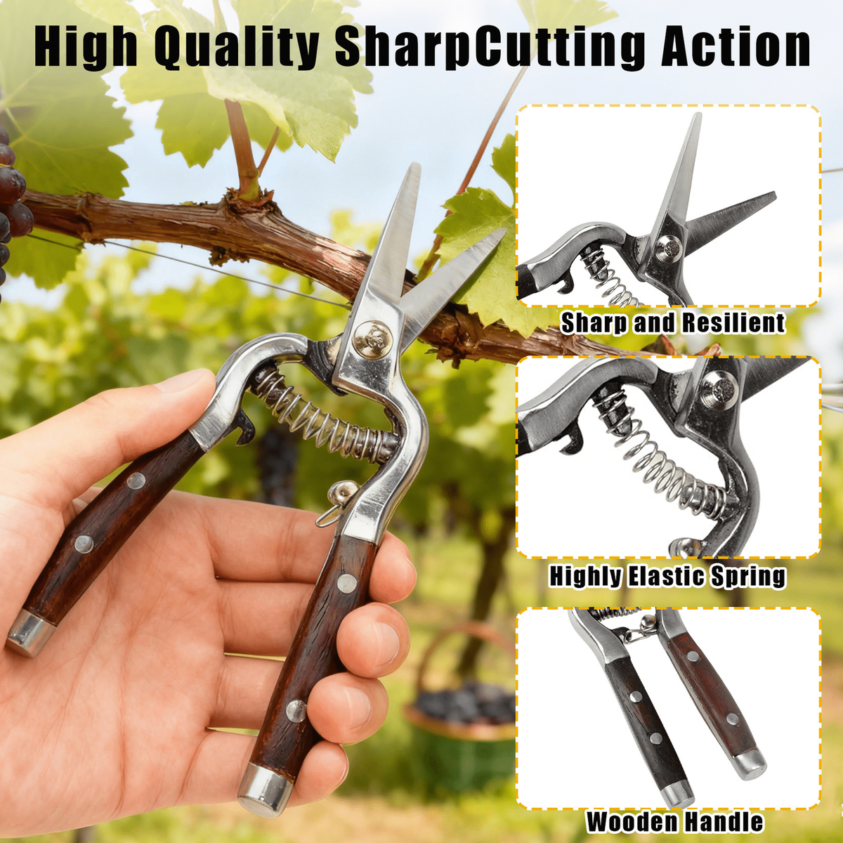 Garden Scissors 2-Pack Pruning Shears Set Curved and Straight Bypass Blades 8-Inch Ultra Sharp Plant for Garden, Patio and Ya