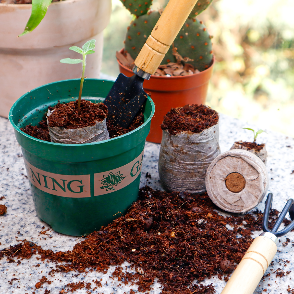 Peat Pellets Seed Starter 35mm Compressed | 50/100pcs Expandable Coir Discs for Seedlings Vegetables Flowers Herbs | Indoor O