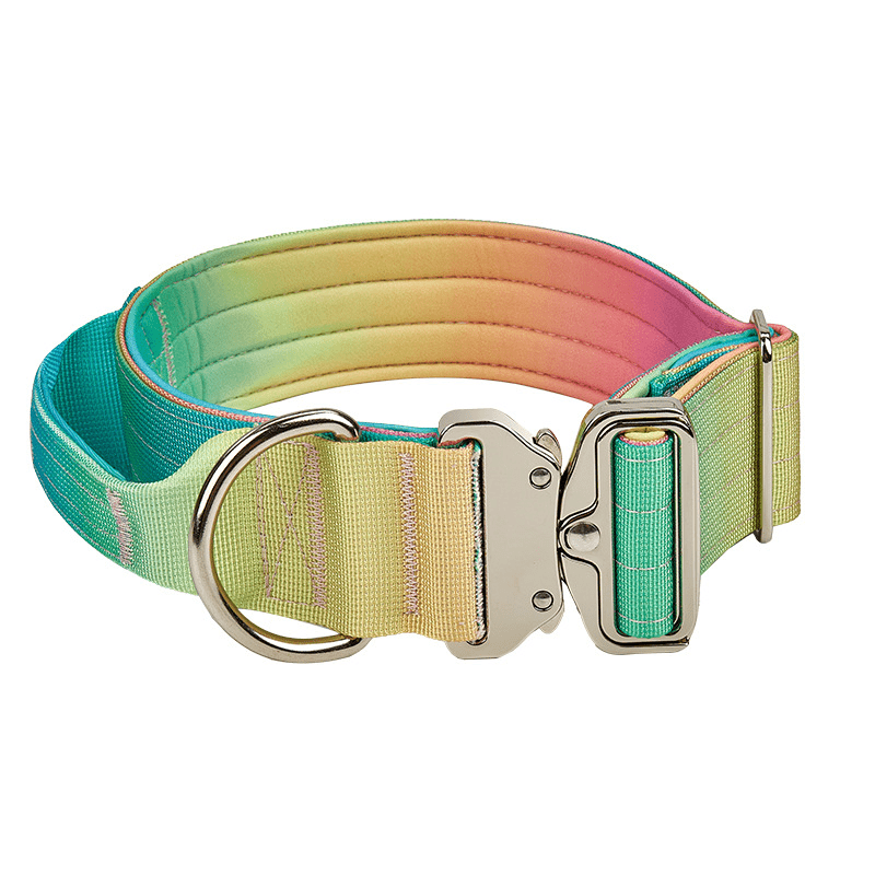 Gradient Dog Collar with Grab Handle, Quick-Release Metal Buckle and D-Ring in Three Size-Color Options — image 4
