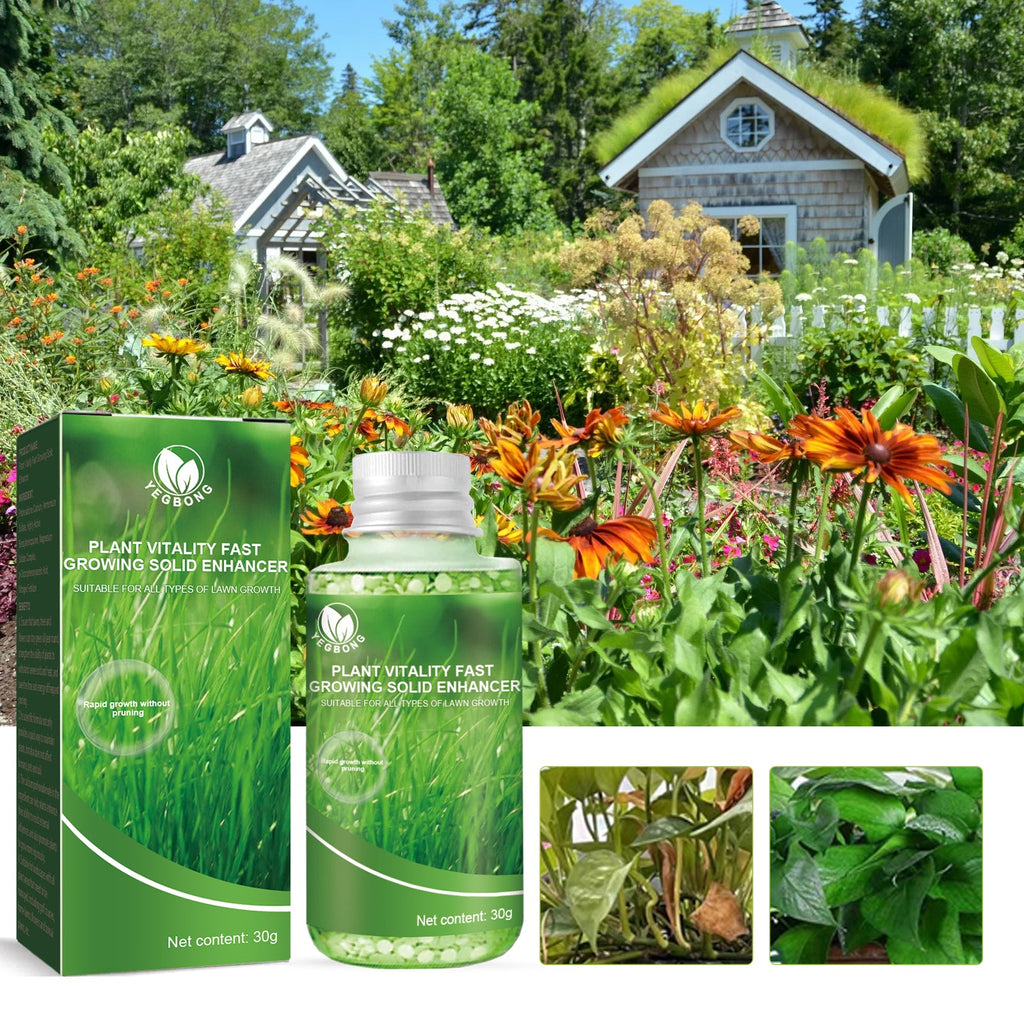 Plant Nutrient, Plant Fertilizer Flower Potted Lawn Green Leaf Root Growth Nutrient - V.I.P Digital Presence