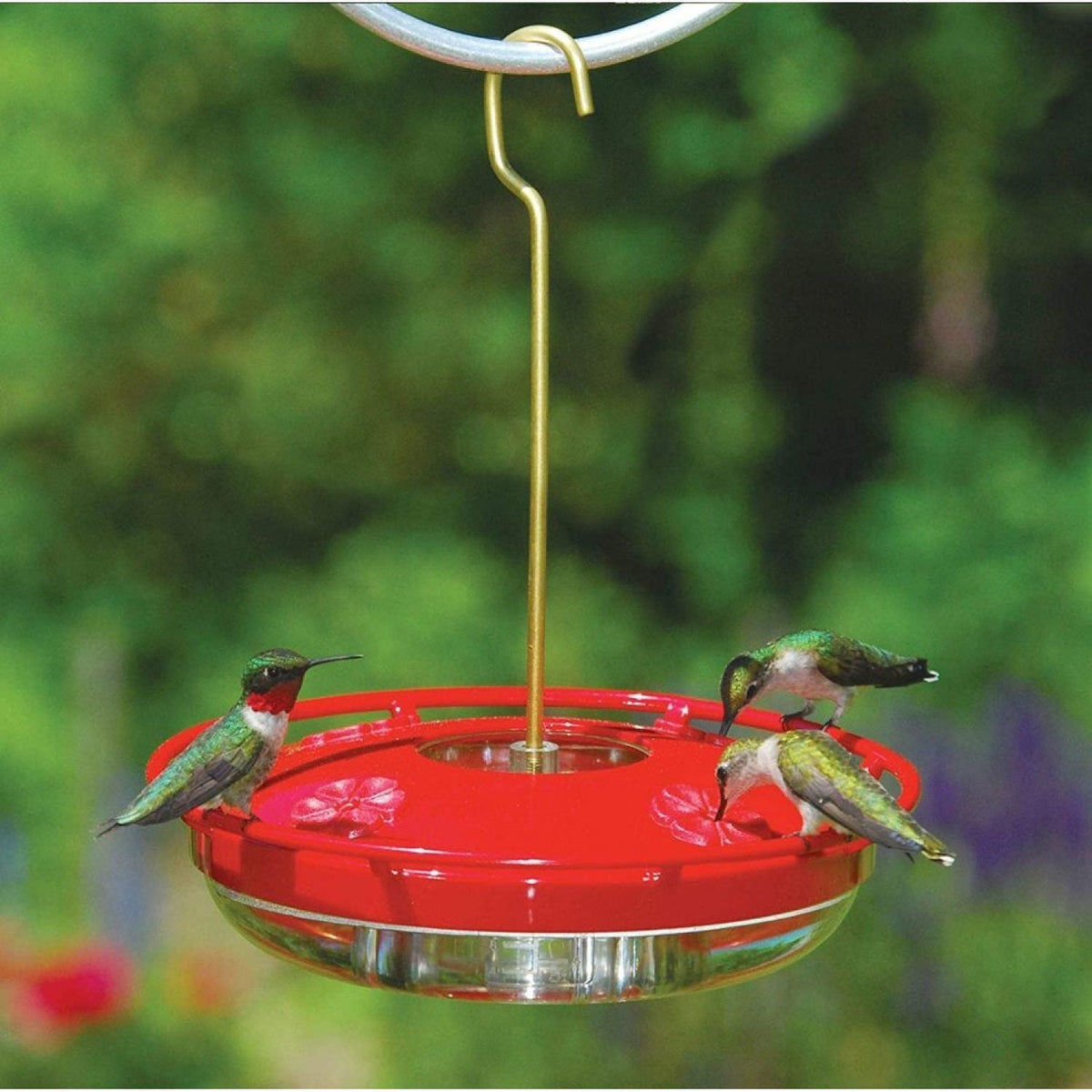 Creative Hummingbird Feeder, Outdoor Hanging Hummingbird Feeder, Hummingbird Feeding Device
