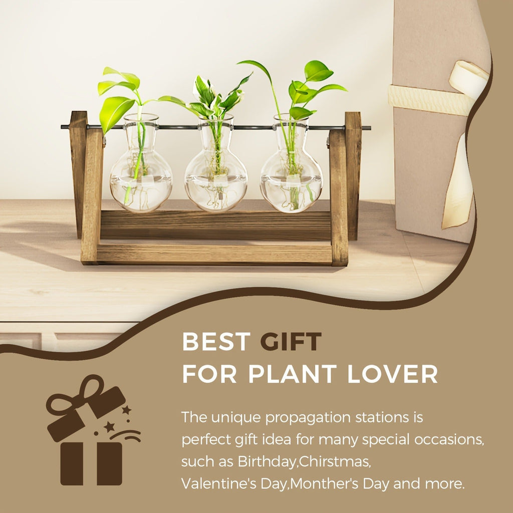 Glass Terrarium Heart Shaped Hydroponic Vase with Wooden Stand – Elegant Plant Propagation Station for Home Decor — image 7