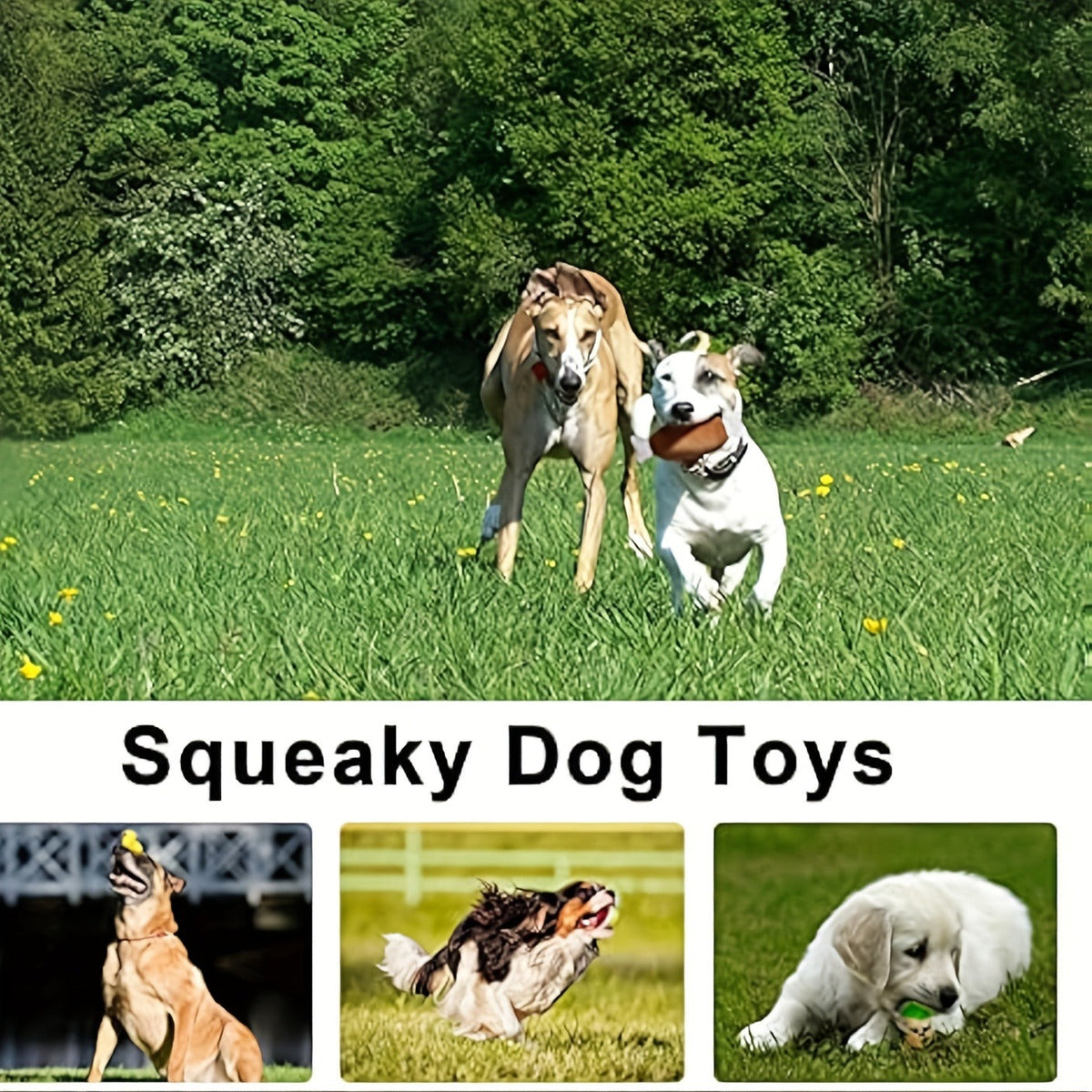 Fourteen-Piece Plush Dog Toy Set with Fruit, Vegetable and Snack Shapes for Supervised Squeaky Play — image 3