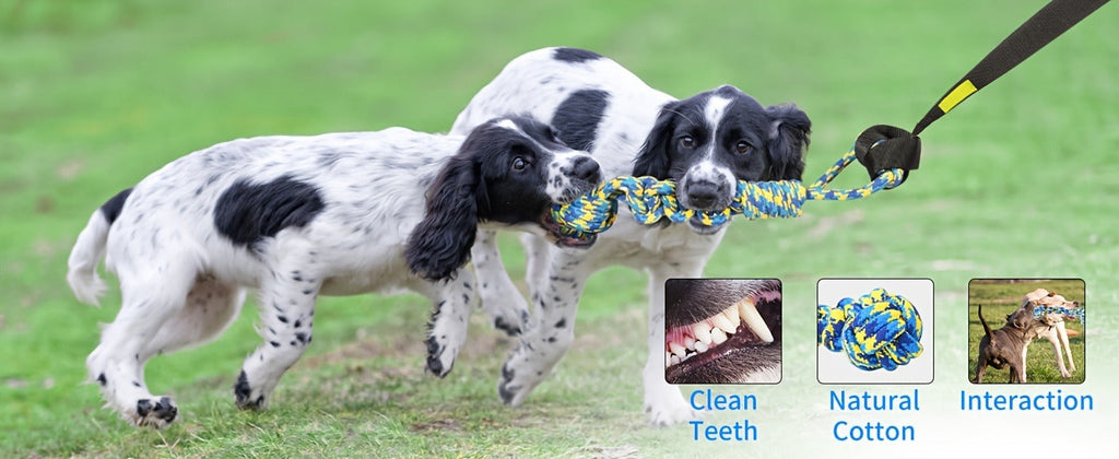 Dog Toy Outdoor Hanging Bungee Tug with Adjustable 19.7-Foot Elastic Cord, Soft Loop and Chew Rope — image 9