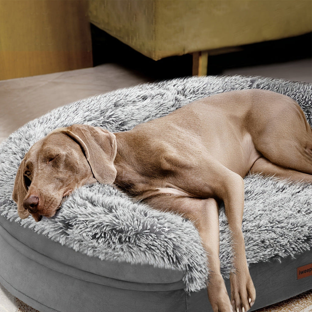 Egg-Crate Foam Dog Bed with Plush Bolsters and Rectangle or Semicircle Large-Size Shape Options — image 5