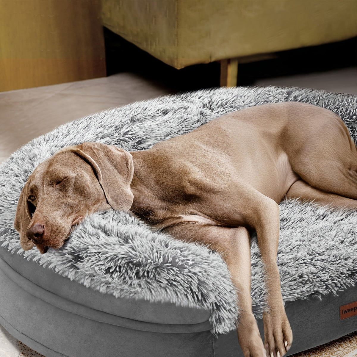 Egg-Crate Foam Dog Bed with Plush Bolsters and Rectangle or Semicircle Large-Size Shape Options — image 5