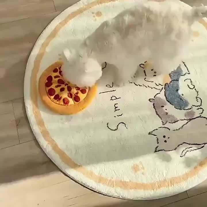 Dog Toy Pizza or Donut Plush with Built-In Squeaker and One or Two-Piece Pack Options for All Breeds — image 7