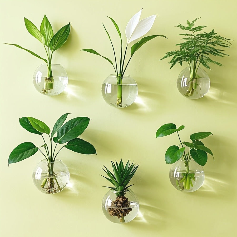 Wall Hanging Glass Terrarium Planter Oblate Flower Vase for Hydroponics Plants Bathroom Home Office Living Room Decor Set of 
