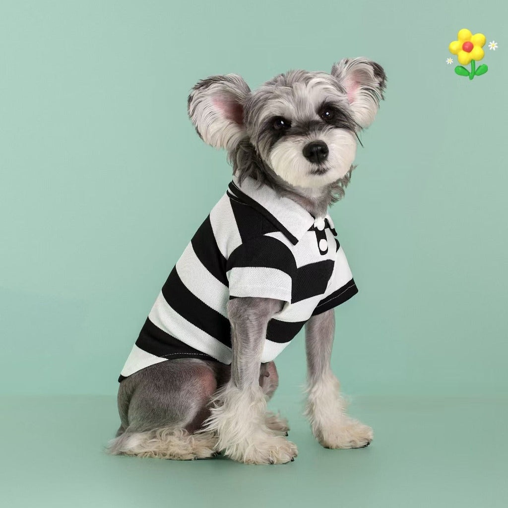 Five-Pack Striped Polo-Style Dog Shirts in Assorted Colors with Seven Size Choices from XS Through 4XL — image 10