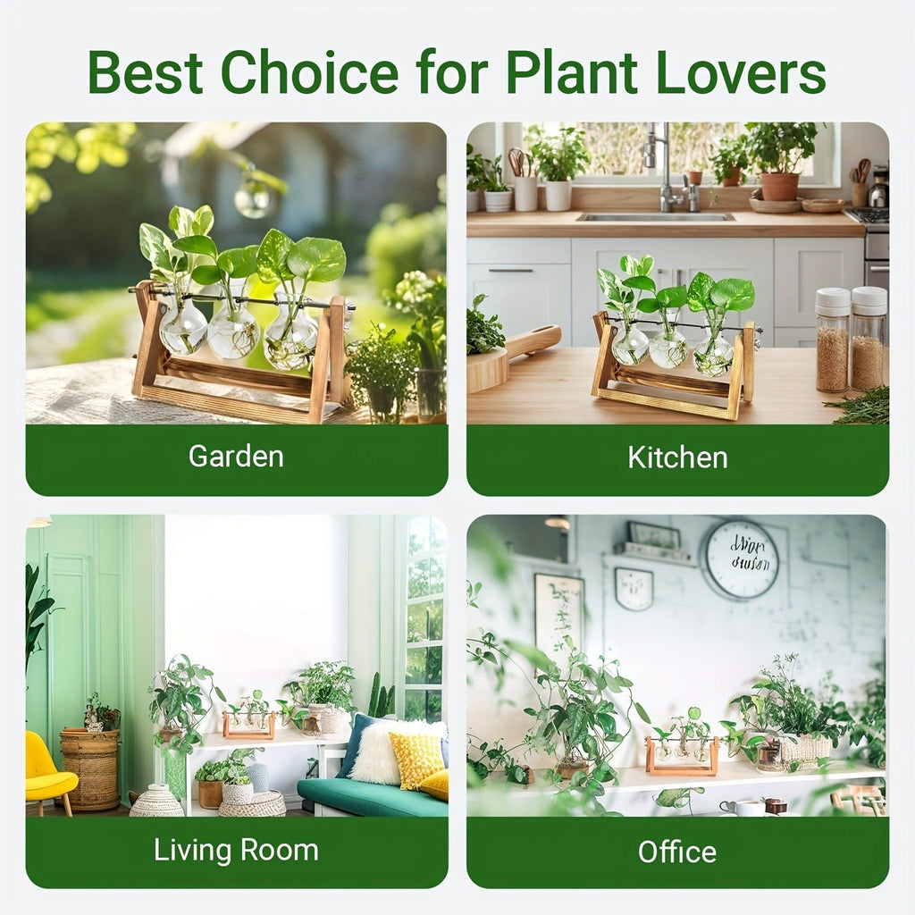 Propagation Station 3 Bulb Glass Vase with Wooden Stand – Hydroponic Plant Terrarium for Home Office Desk Decor — image 7
