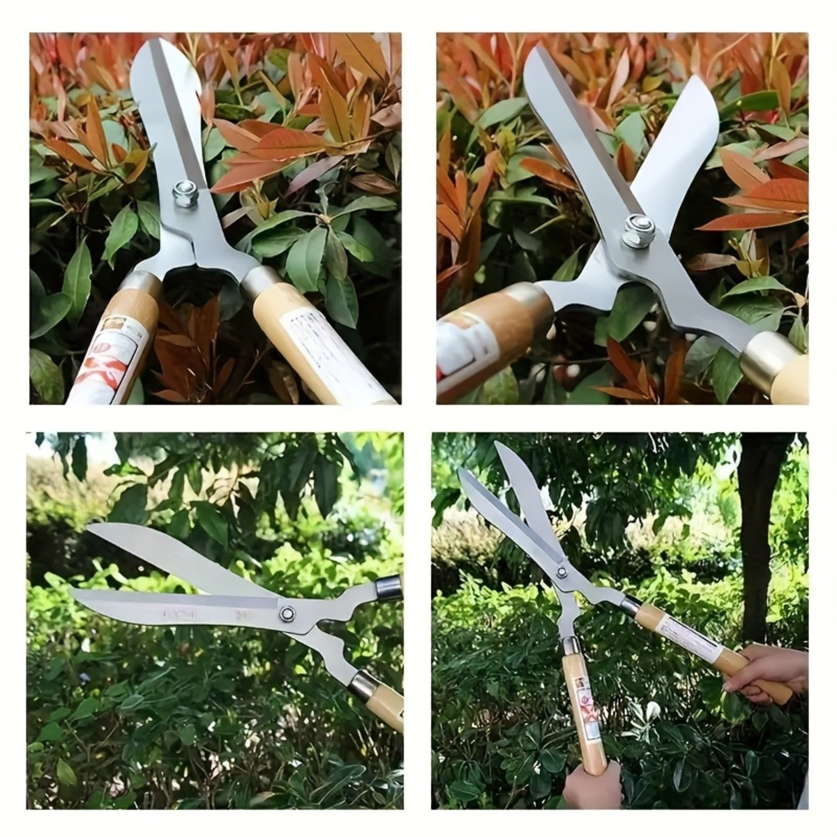 Carbon Steel Hedge Shears with 11-Inch Straight Blades and Paired Walnut Handles for Shrub Trimming — image 8