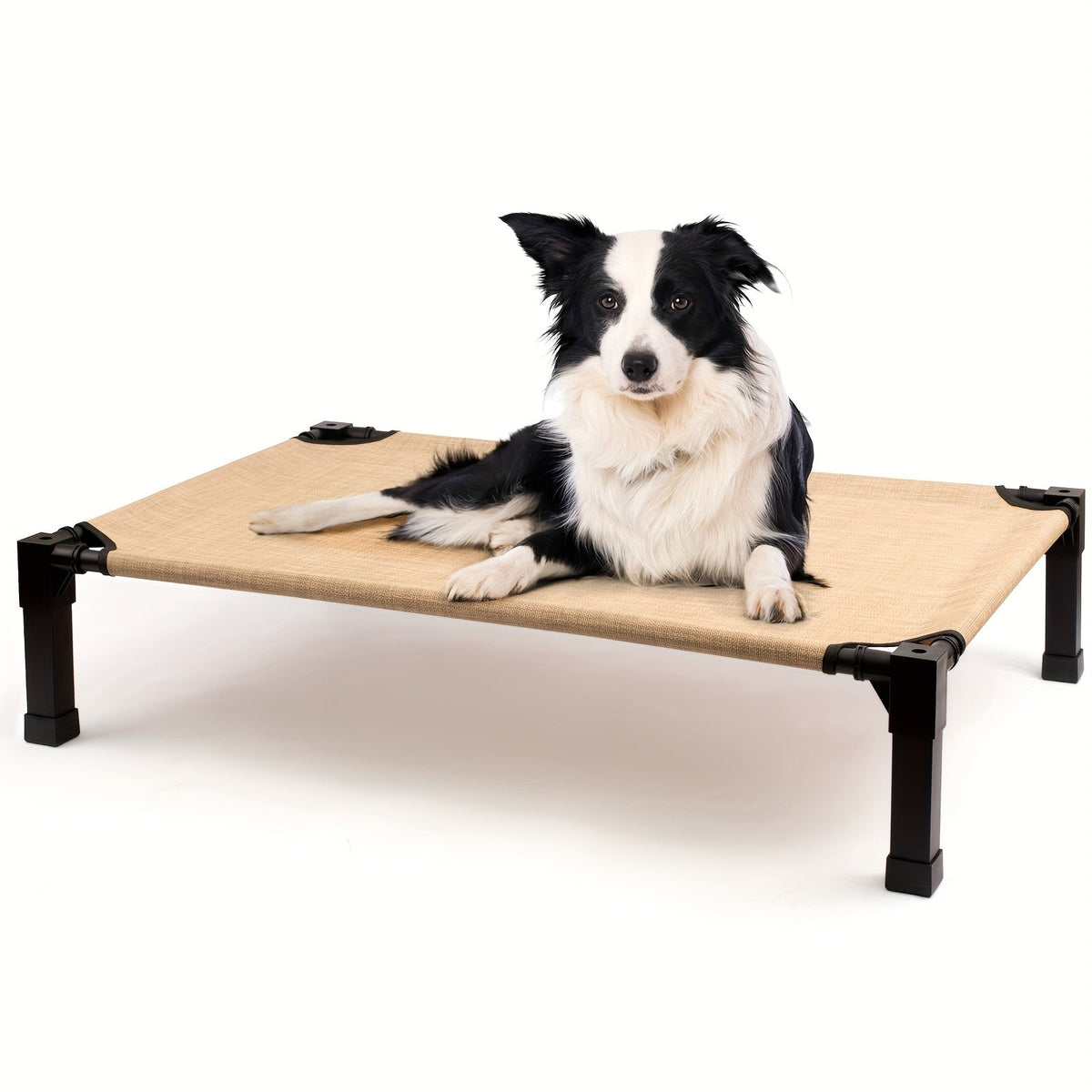 Elevated Pet Cot with Metal Frame, Textilene-Labeled Mesh Deck, Four Sizes and Seven Colors — image 27