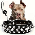 Rivet-Studded Dog Collar and Matching Leash Set with Metal Buckle, Five Colors and XS–XXL Sizing — image 2