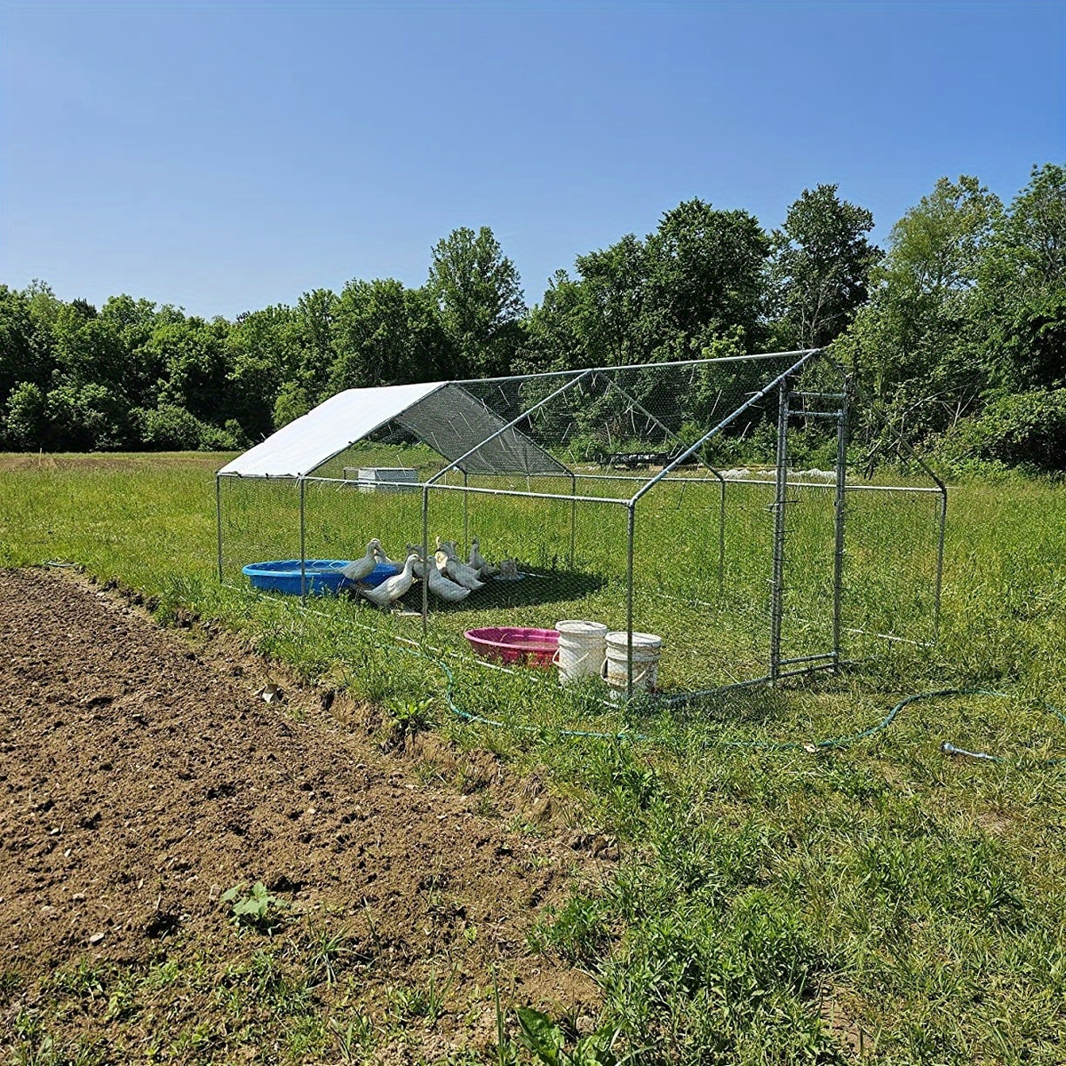 Walk-In Metal Poultry Enclosure in Six Size Options with Mesh Walls, Door and Partial Roof Cover — image 17