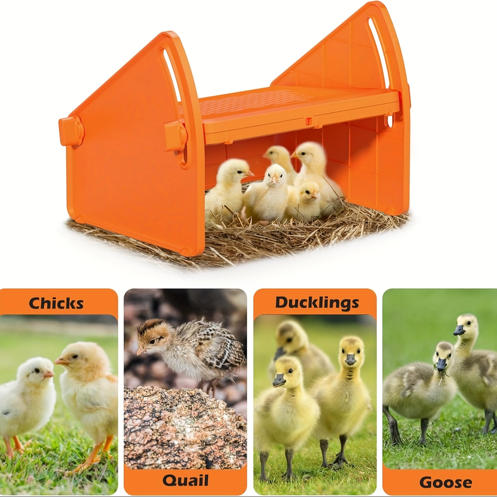 Chick Brooder Plate with Adjustable Height for Up to 10 Chicks, Poultry Warmer for Ducklings, Turkeys — image 3