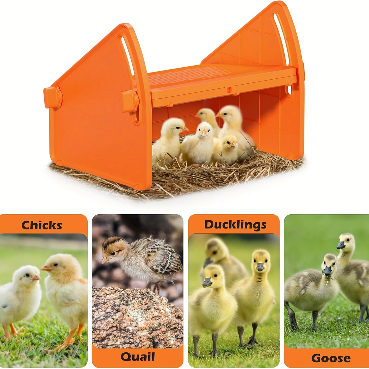 Chick Brooder Plate with Adjustable Height for Up to 10 Chicks, Poultry Warmer for Ducklings, Turkeys — image 3