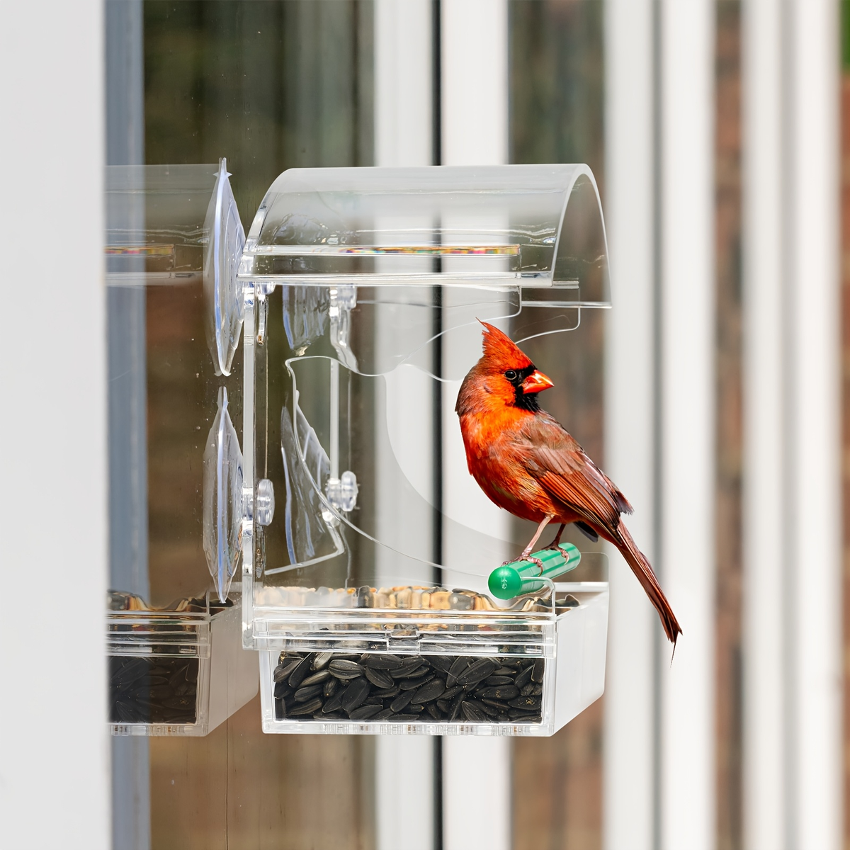 Window Bird Feeder - Clear Acrylic Suction Cup Bird Feeder for Birdwatching — image 5