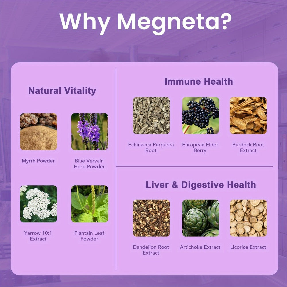 Herbal Supplement with Megneta Label, Echinacea Dandelion Elderberry Burdock 1390mg per Serving, 60 Capsules — image 9
