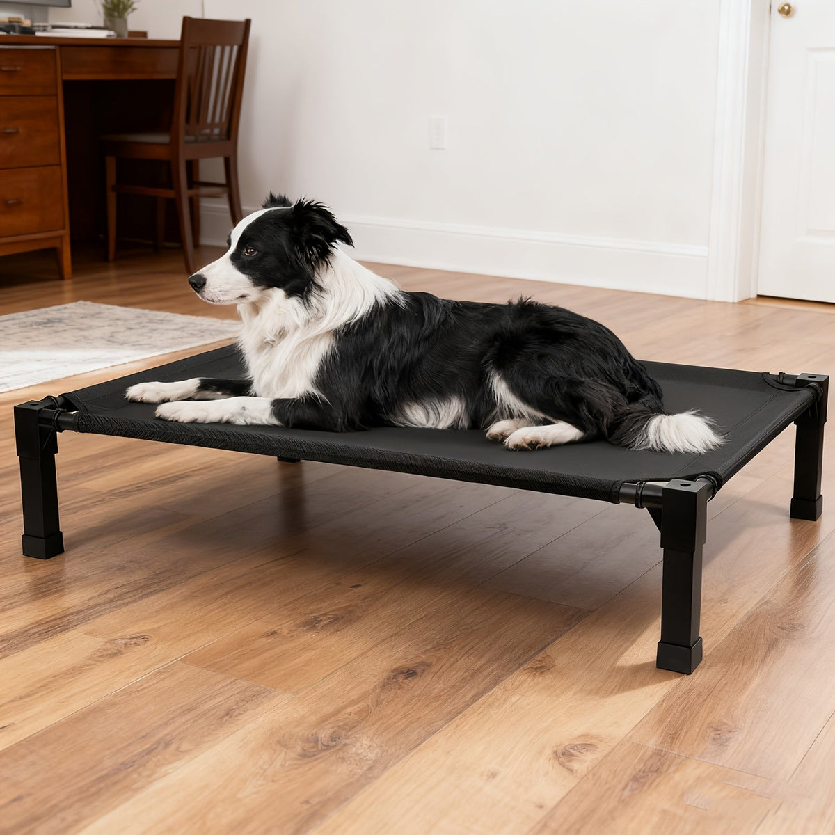 Elevated Mesh Dog Cot Bed with Folding-Leg Frame, Seven Colors and Four Labeled Sizes from 35 to 60 Inches — image 14