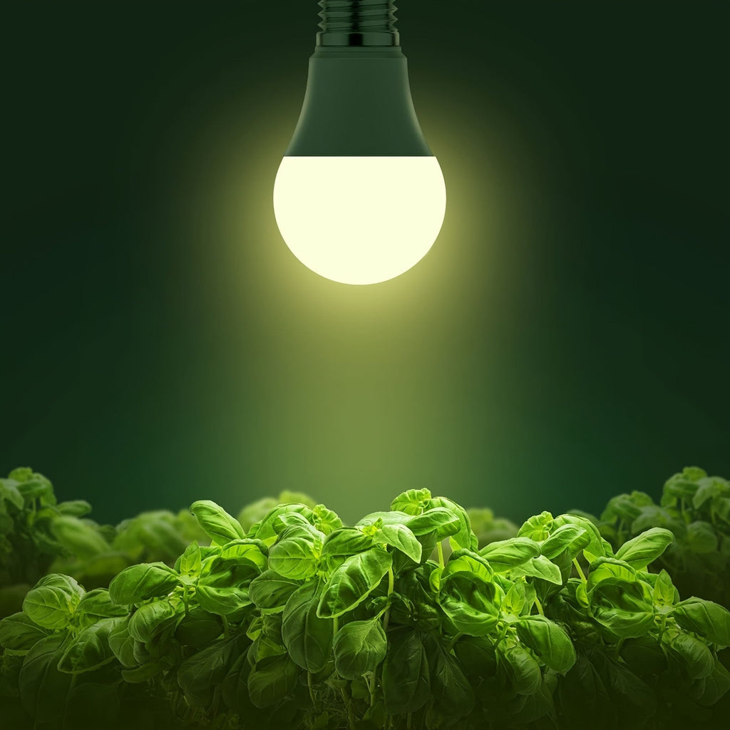 Grow Light Bulb A19 E26 Full Spectrum 9W 100W Equivalent | Natural White 4000K LED Plant Bulb for Indoor Plants Seed Starting