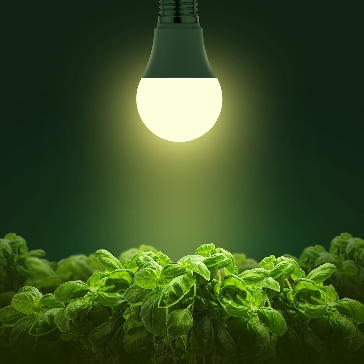 Grow Light Bulb A19 E26 Full Spectrum 9W 100W Equivalent | Natural White 4000K LED Plant Bulb for Indoor Plants Seed Starting