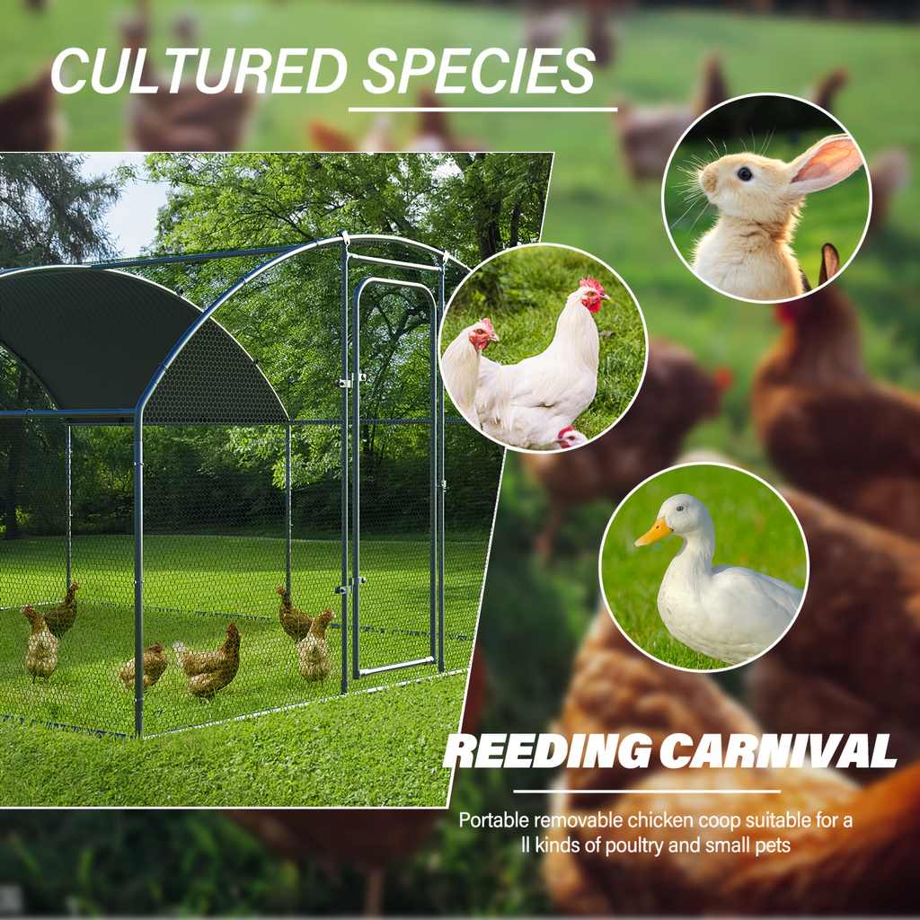Walk-in Chicken Pen Large Metal Outdoor Poultry Enclosure Cover Yard Cage for Chickens Ducks Rabbits 3 Sizes Available — imag